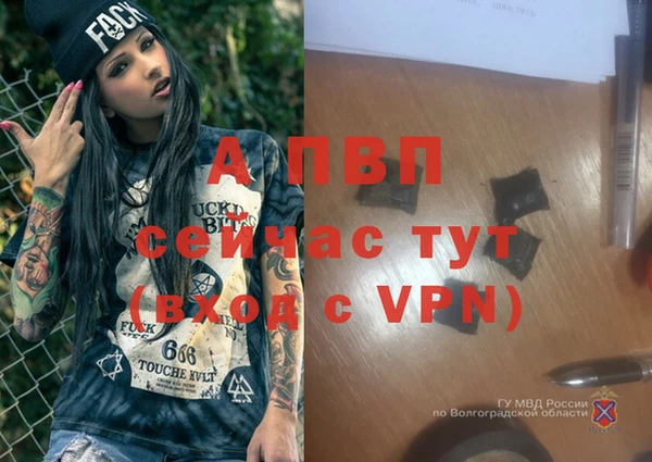 ешки Нефтекумск